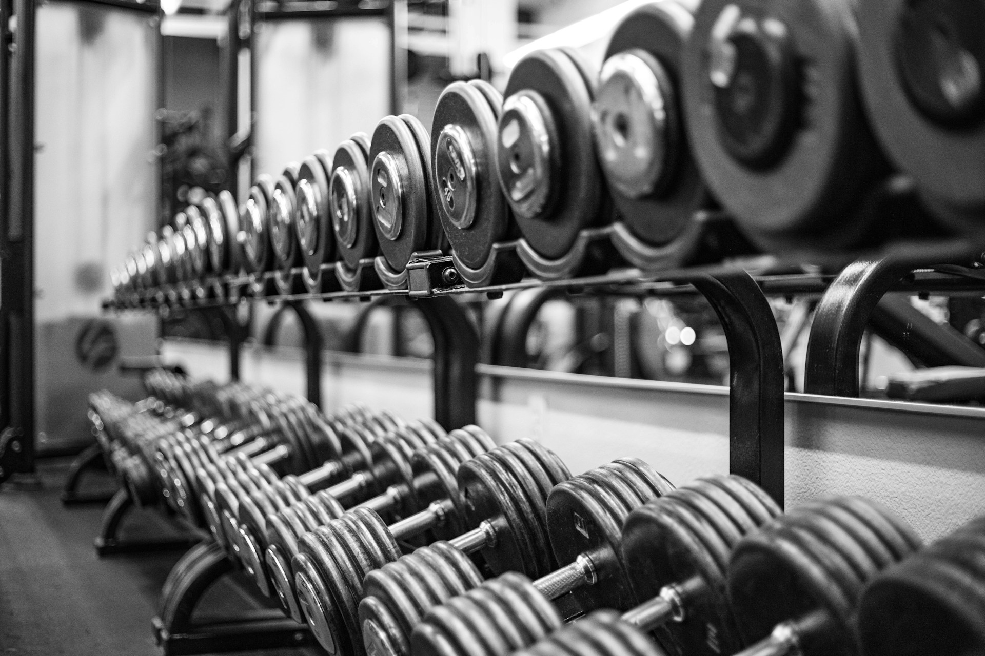 Monotone photo of a dumbbell rack.