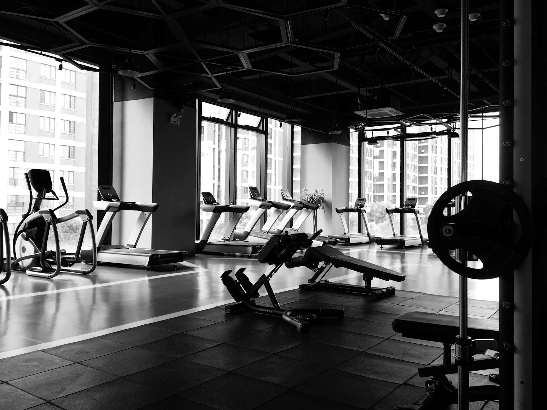Monotone photo of workout equipment.
